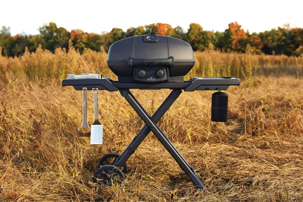 Barbecue Napoleon Collection Phantom TravelQ PRO285X