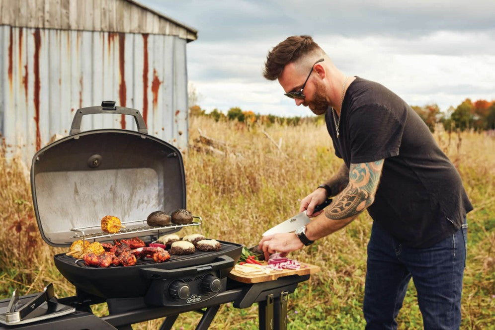 Barbecue Napoleon Collection Phantom TravelQ PRO285X