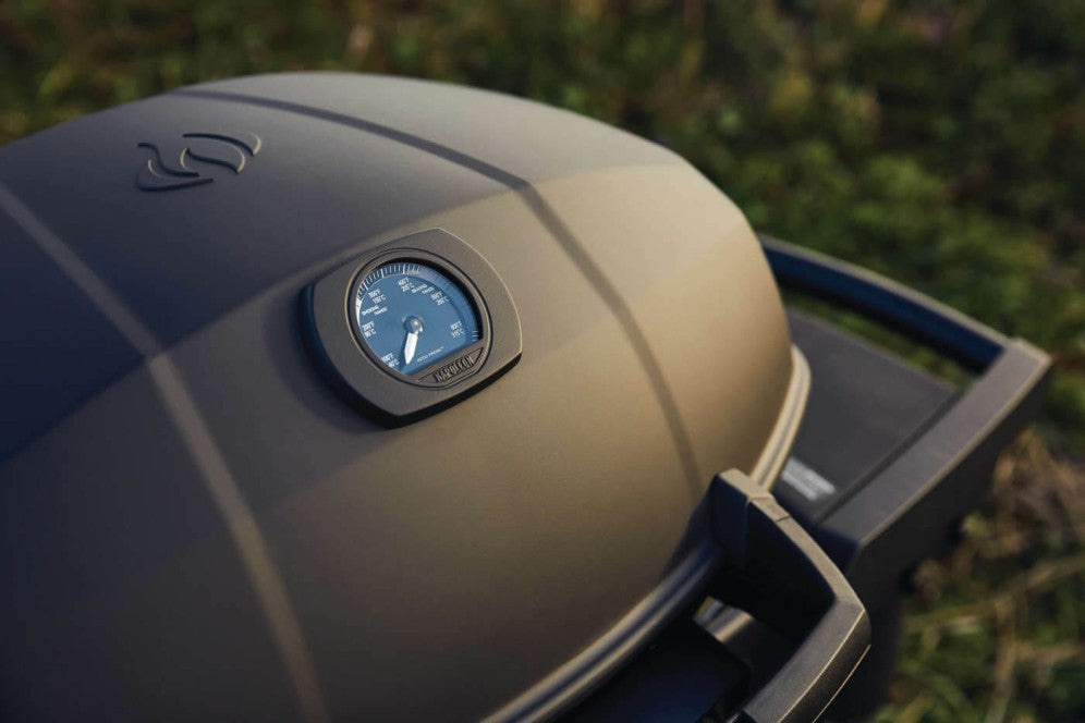 Barbecue Napoleon Collection Phantom TravelQ PRO285X