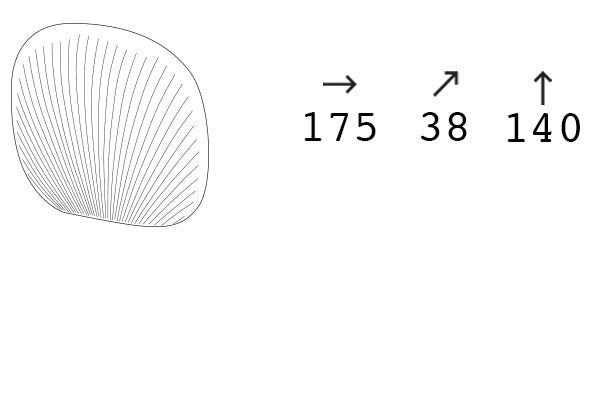Plust Fade Shell